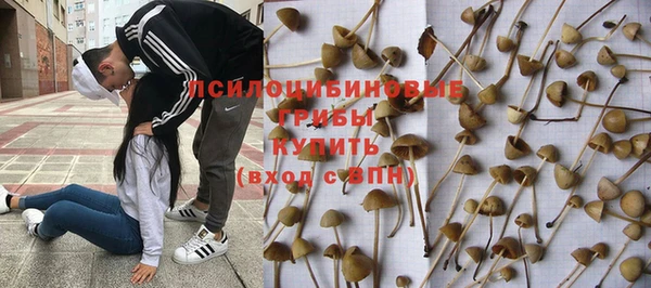 ПСИЛОЦИБИНОВЫЕ ГРИБЫ Армянск